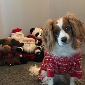 Meet your Posher, Heather j